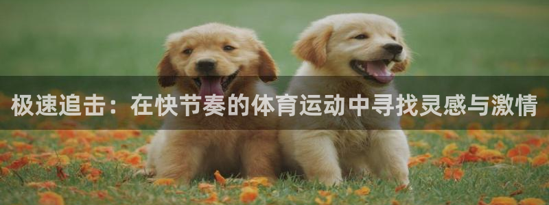 意昂集团股票：极速追击：在快节奏的体育运动中寻找灵感与激情