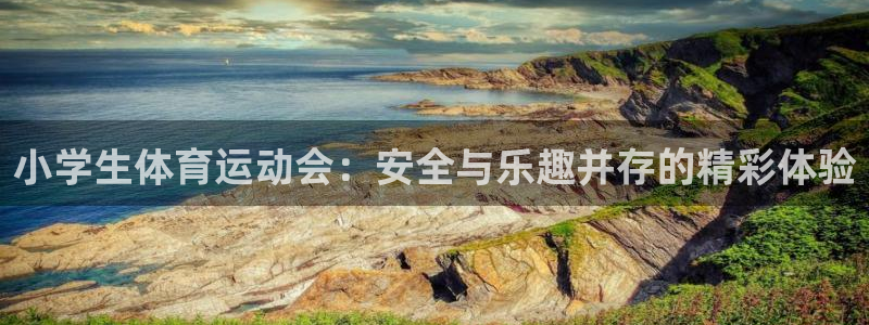 杏宇登录：小学生体育运动会：安全与乐趣并存的精彩体验