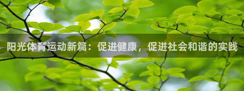 杏宇体育：阳光体育运动新篇：促进健康，促进社会和谐的实践