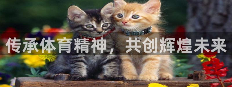 杏宇体育官网注册：传承体育精神，共创辉煌未来