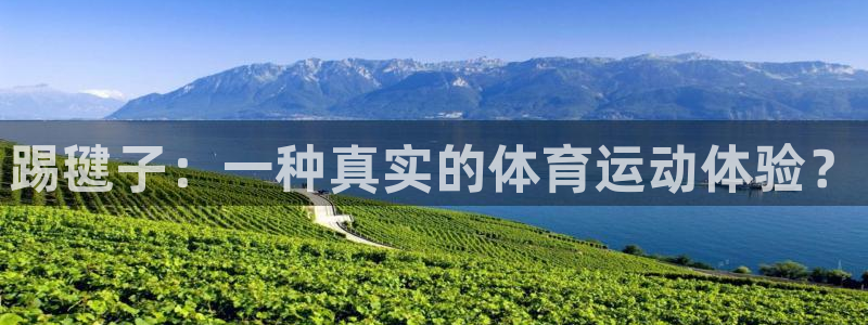 意昂工课：踢毽子：一种真实的体育运动体验？