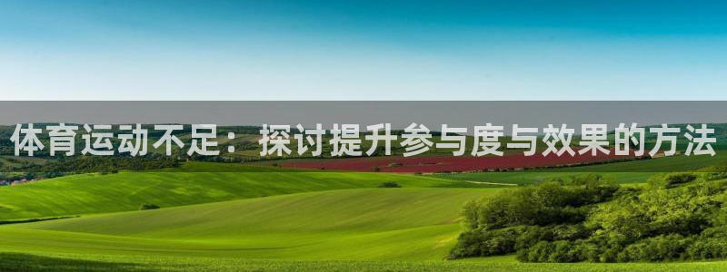 杏宇体育和杏耀是哪个公司的：体育运动不足：探讨提升参与度与效果的方法