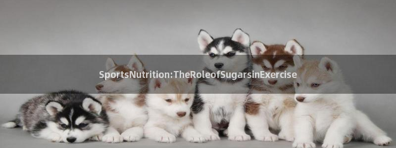 杏宇2官网：SportsNutrition:TheRoleofSugarsinE