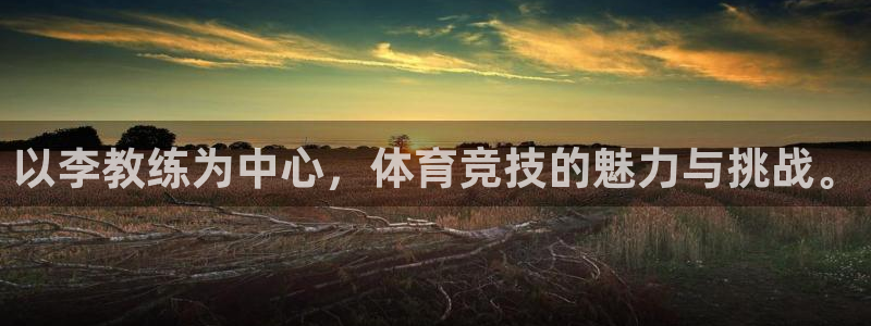 杏宇股份：以李教练为中心，体育竞技的魅力与挑战。
