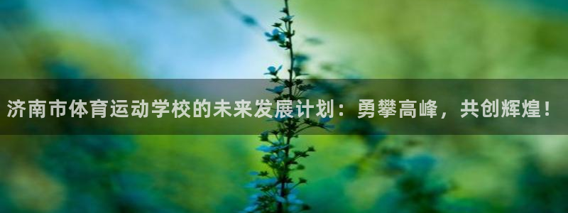 杏宇3平台注册：济南市体育运动学校的未来发展计划：勇攀高峰，共创辉煌！