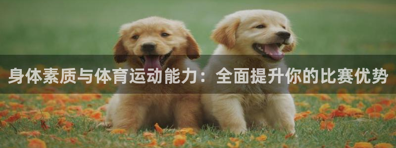 杏宇体育凯捷平台主管：身体素质与体育运动能力：全面提升你的比赛优势