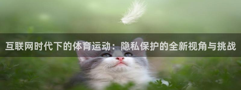 杏宇官网入口：互联网时代下的体育运动：隐私保护的全新视角与挑战
