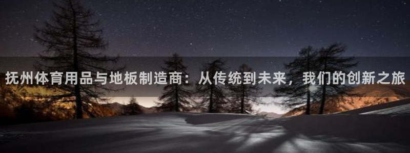 杏宇平台：抚州体育用品与地板制造商：从传统到未来，我们的创新之旅