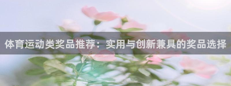 杏宇平台总代理：体育运动类奖品推荐：实用与创新兼具的奖品选择