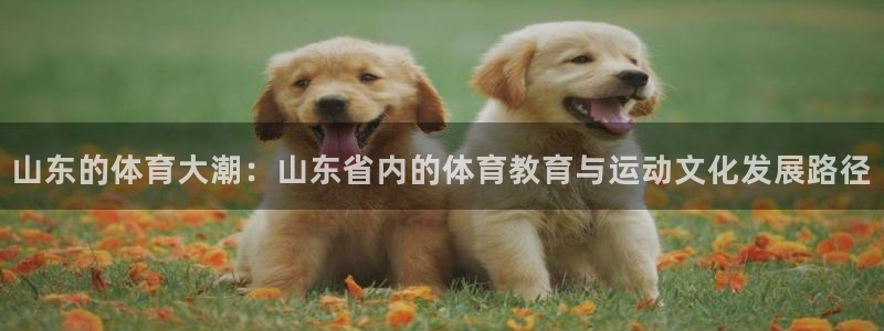 杏宇集团官网：山东的体育大潮：山东省内的体育教育与运动文化发展路径