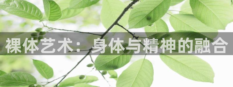 杏宇平台开户链接：裸体艺术：身体与精神的融合