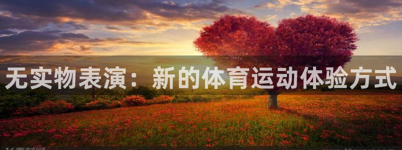 德国杏宇集团：无实物表演：新的体育运动体验方式