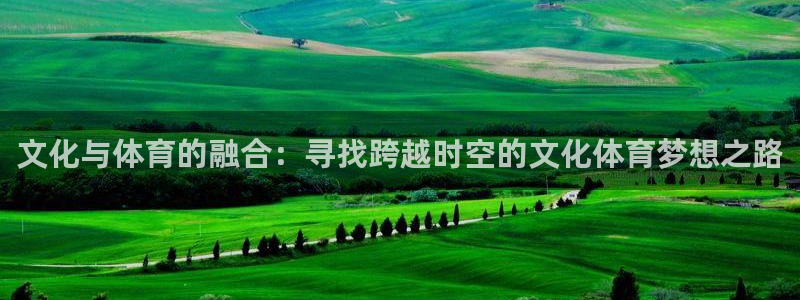 东莞市杏宇电子科技有限公司：文化与体育的融合：寻找跨越时空的文化体育梦想之路