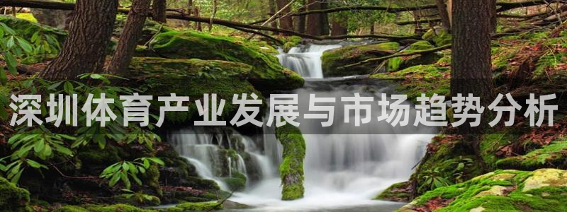 杏宇4平台注册：深圳体育产业发展与市场趋势分析