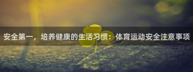 杏宇体育凯捷平台主管