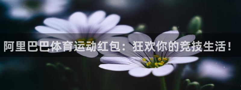 意昂kgame