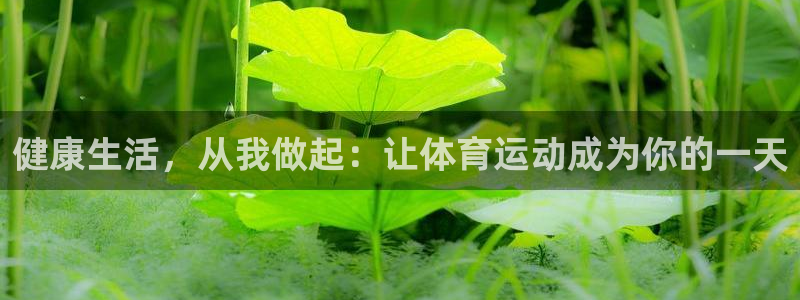 杏宇4开户