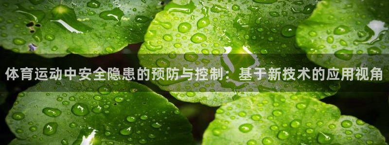 杏宇官网