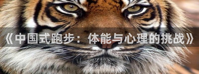 杏宇2登录入口：《中国式跑步：体能与心理的挑战》